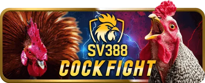 Điền thông tin vào biểu mẫu đăng ký Sumclup Casino